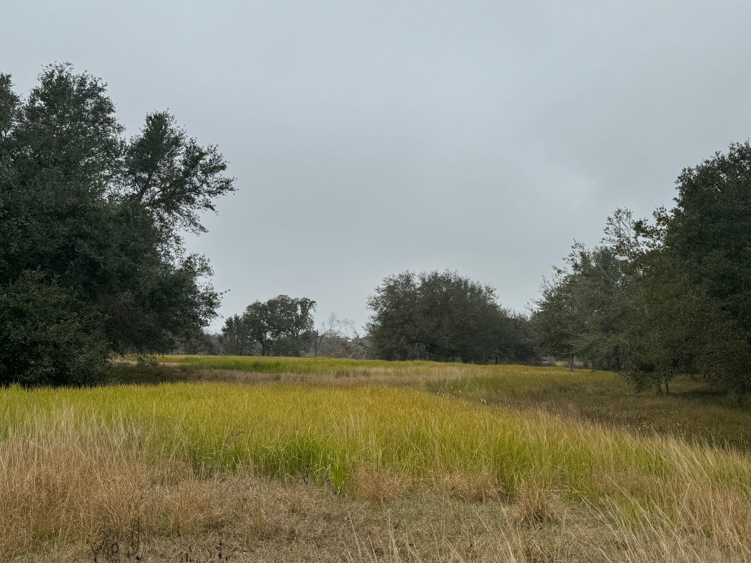 Image for Receiver Ordered Real Estate Sale - Groveland, FL