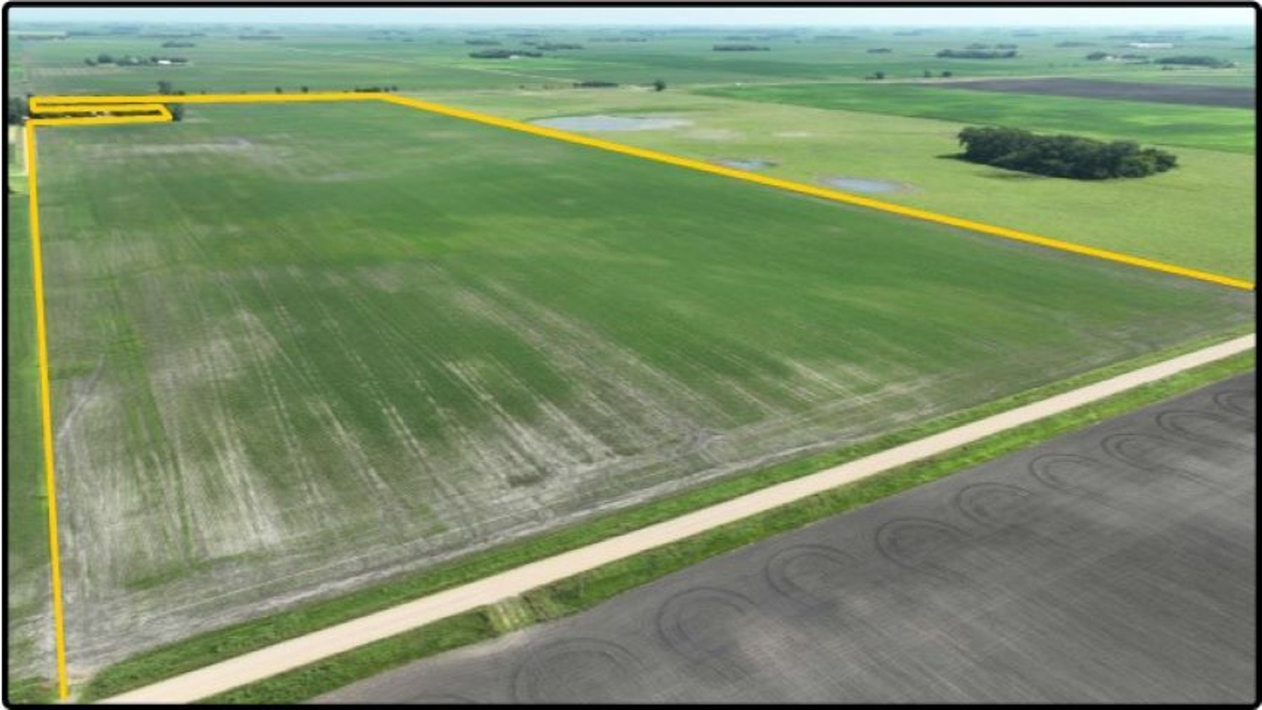 Image for Closed - Renville Co., MN - 110.74 Ac., m/l (190-0236-01)