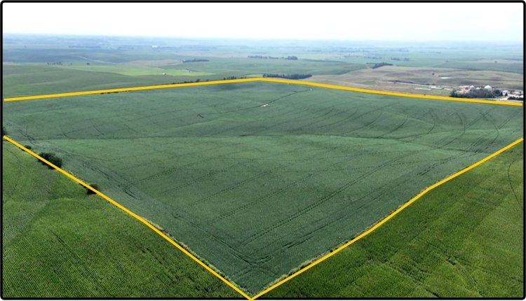 Image for Closed - Boone Co., NE - 160.00 Ac., m/l (092-0056-01)