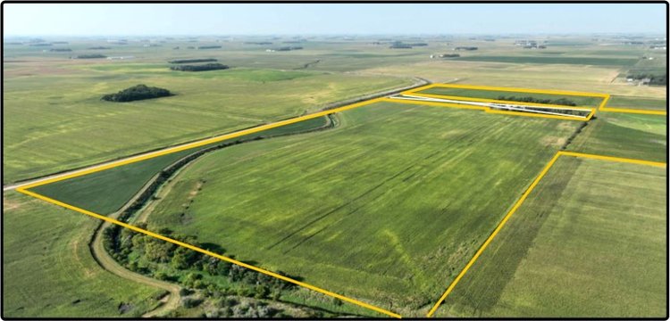 Image for Closed - Redwood Co., MN - 130.27 Ac., m/l (190-0242-01)