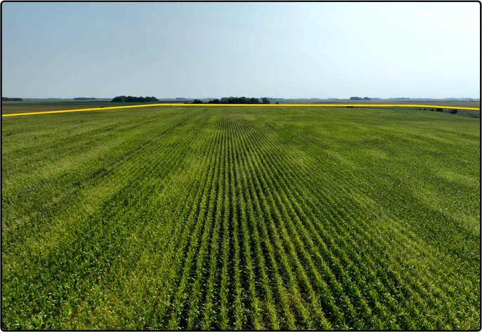 Image for Closed - Redwood Co., MN - 130.27 Ac., m/l (190-0242-01)