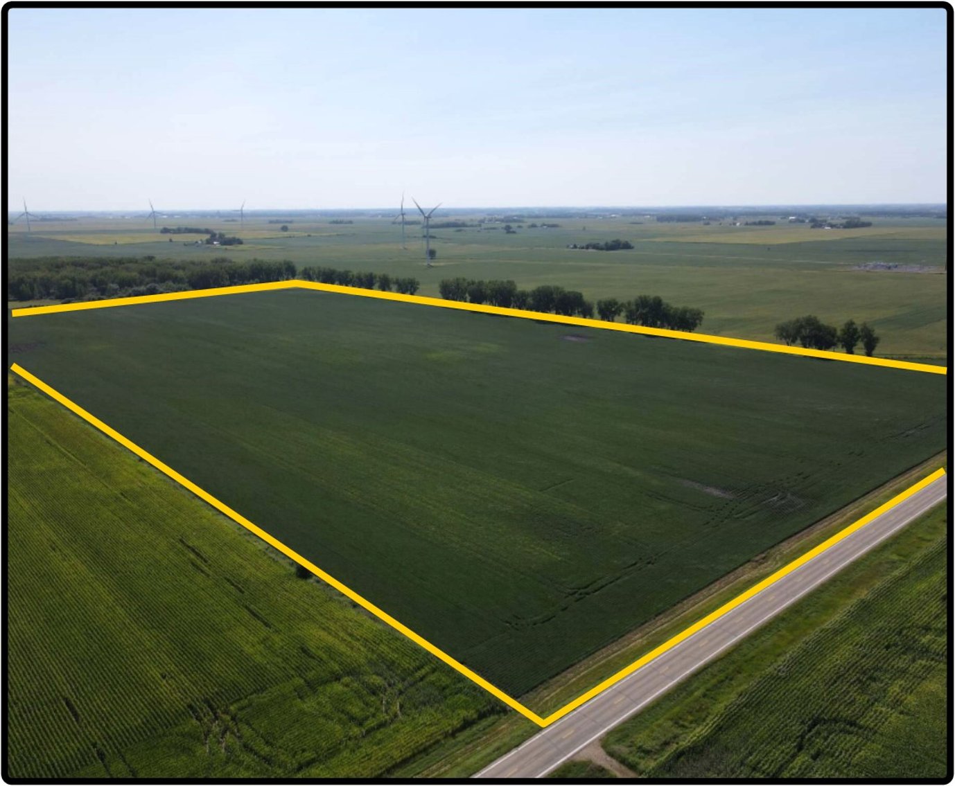 Image for Closed - Freeborn Co., MN - 80.00 Ac., m/l (020-0558-01)
