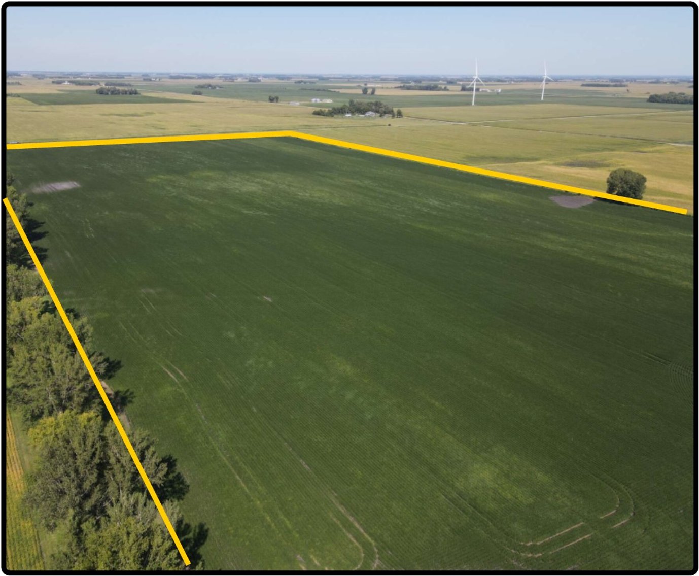 Image for Closed - Freeborn Co., MN - 80.00 Ac., m/l (020-0558-01)