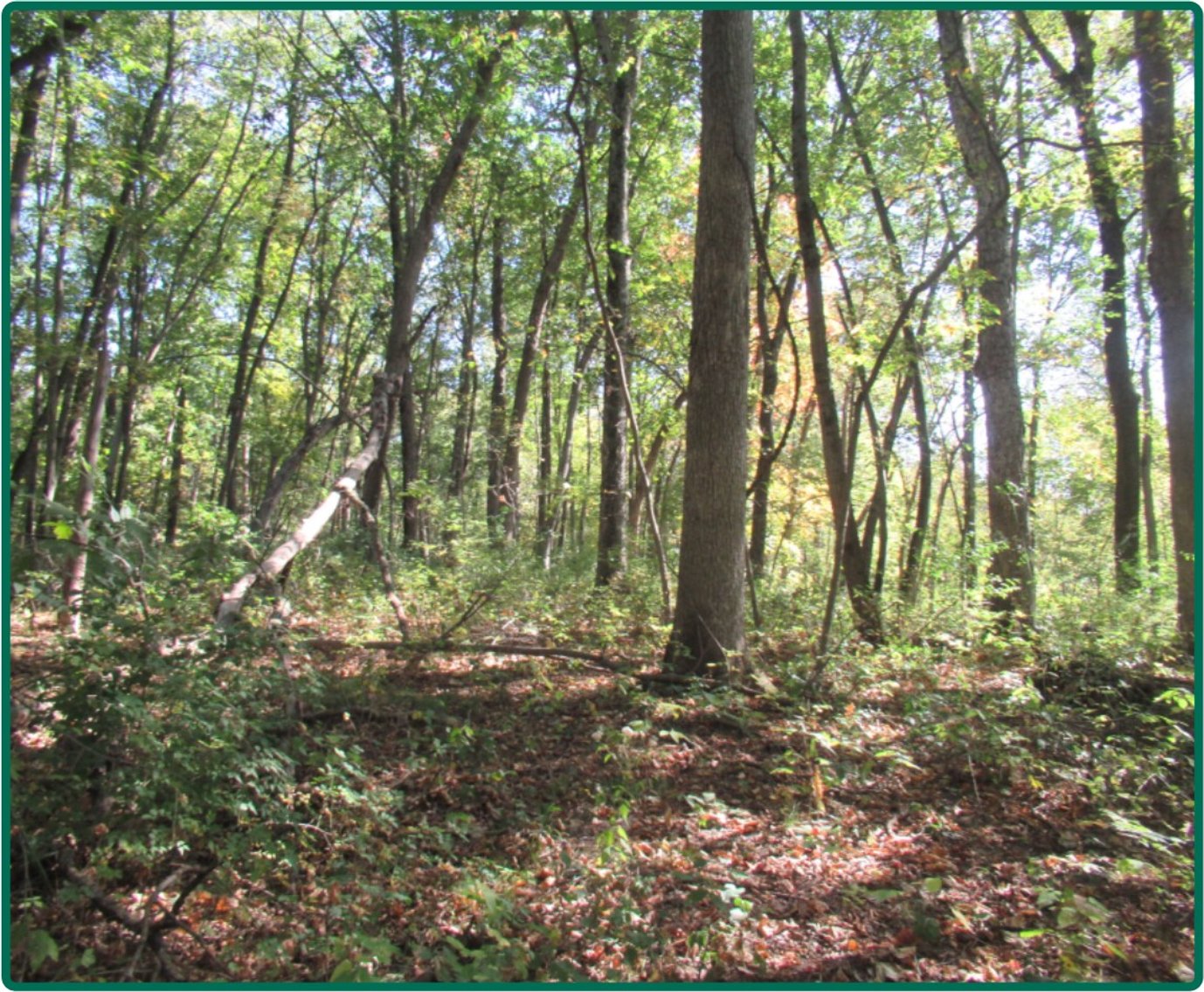 Image for Closed - Cedar Co., IA - 12.72 Ac., m/l (010-2939-01)