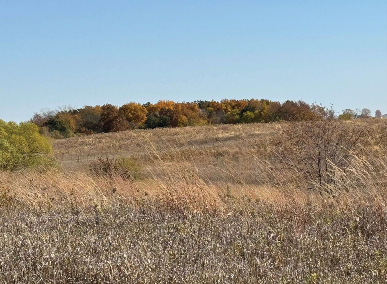 Image for Closed - Jefferson Co., IA - 39.44 Ac., m/l (180-0181-01)