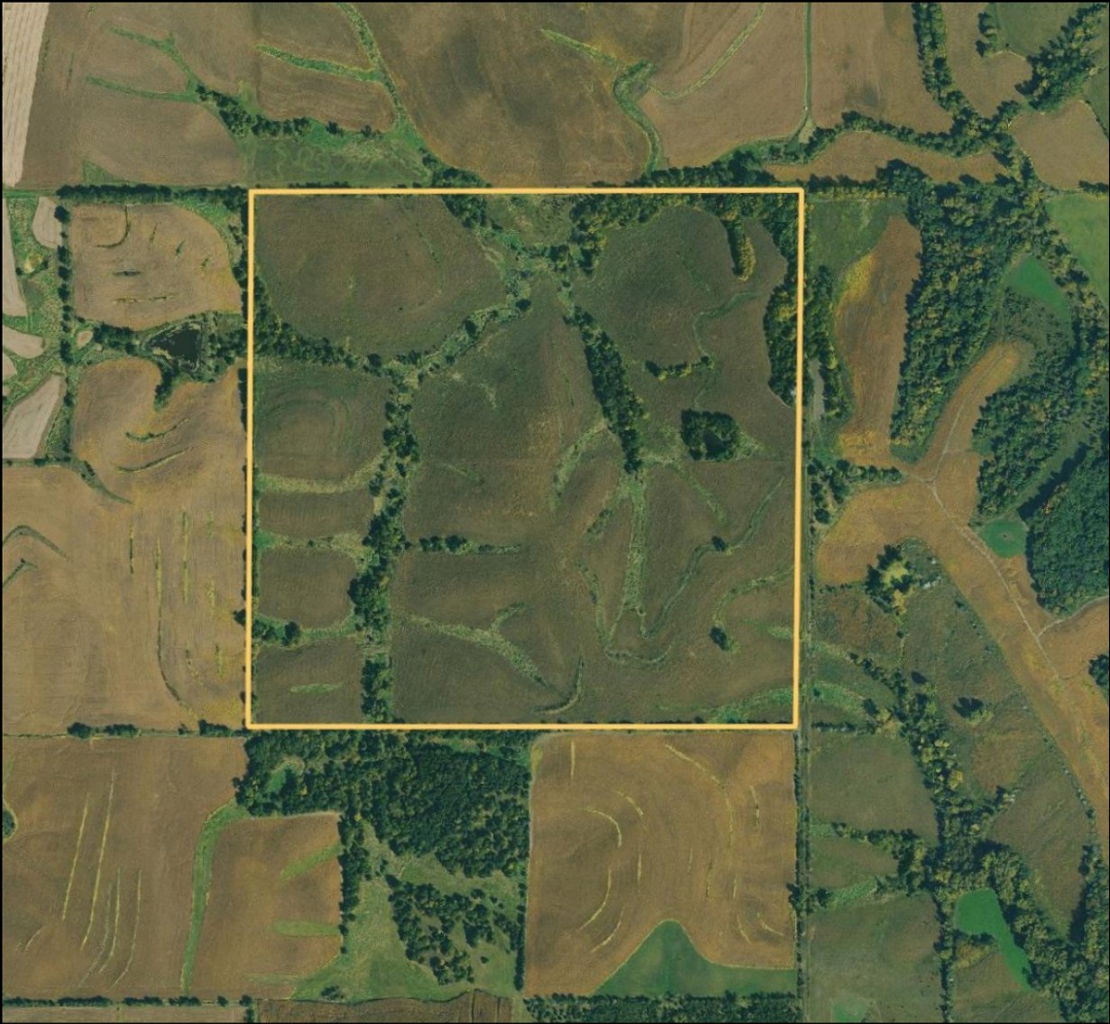 Image for Closed - Ringgold Co., IA - 160.00 Ac., m/l (000-4102-01)