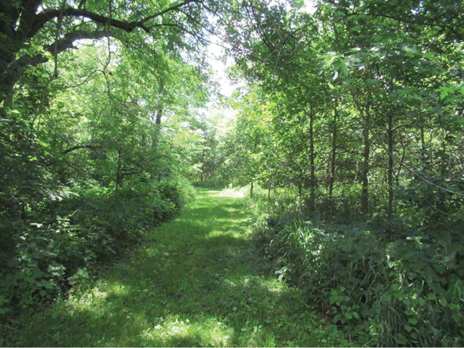 Image for Sale Pending - Linn Co., IA - 79.58 Ac., m/l (010-3084-01)