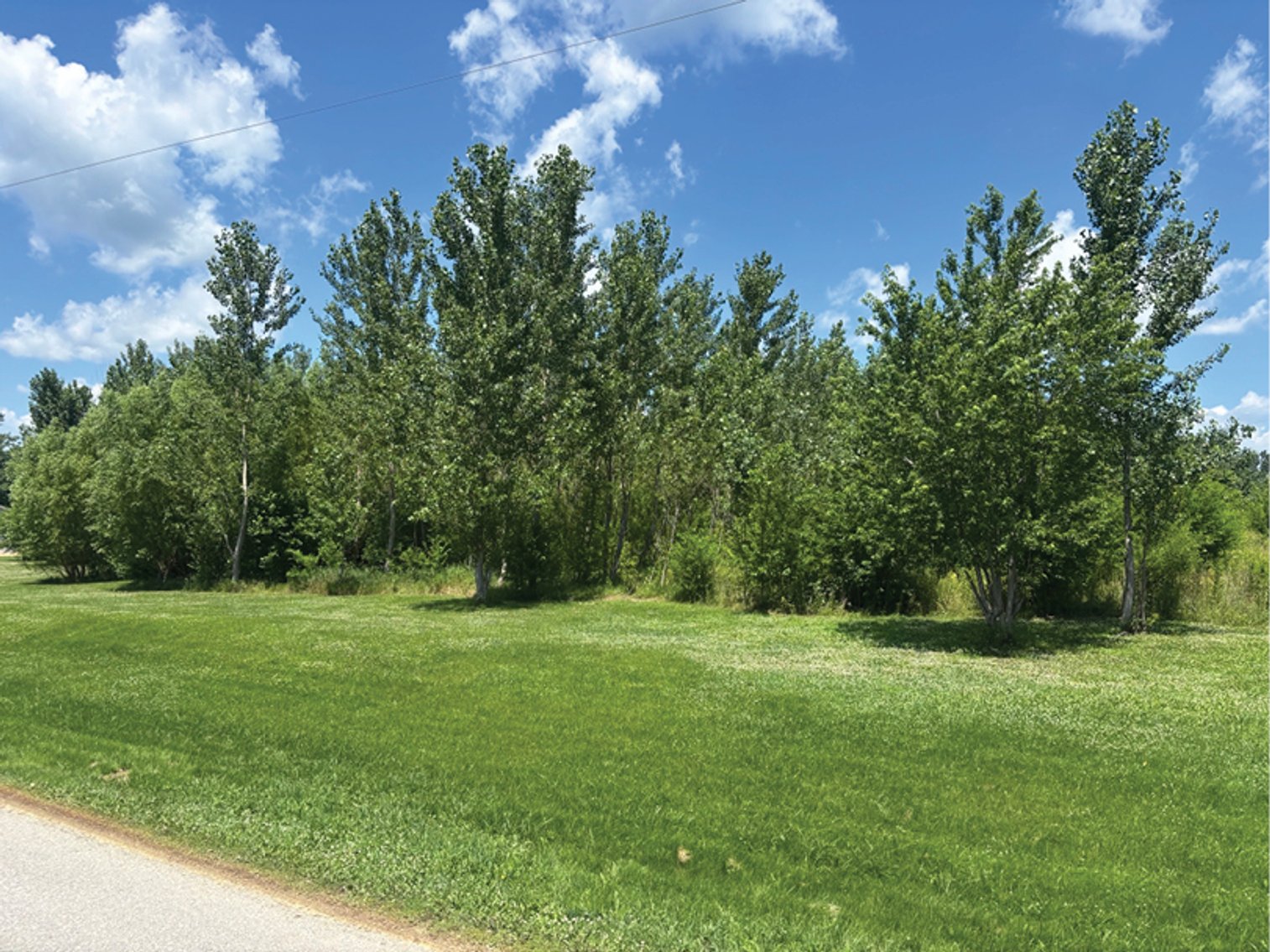 Image for Cedar Co., IA - 5.44 Ac., m/l (010-3106-01)