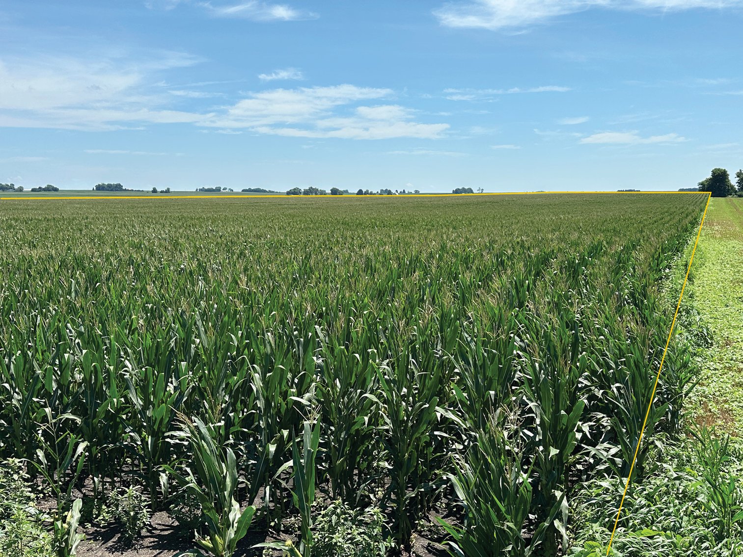 Image for Closed - Macon Co., IL - 62.37 Ac., m/l (030-0516-01)