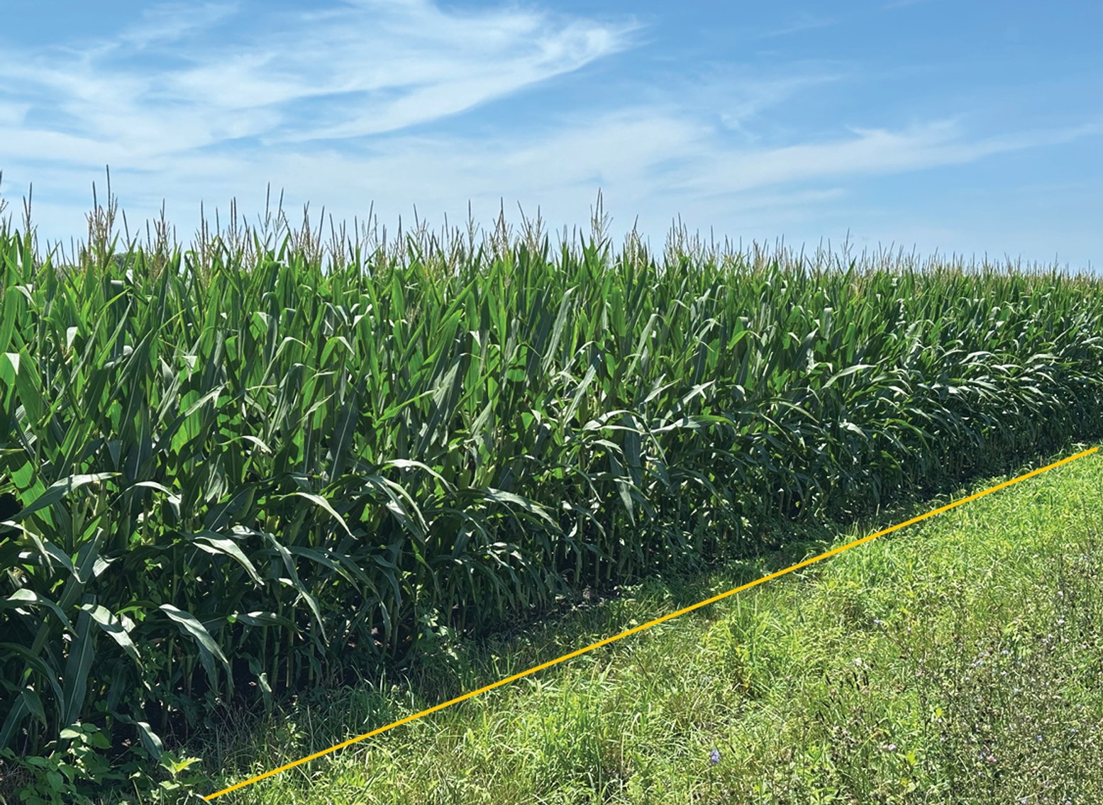 Image for Closed - Macon Co., IL - 62.37 Ac., m/l (030-0516-01)