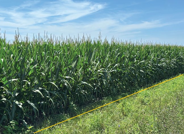 Image for Closed - Macon Co., IL - 62.37 Ac., m/l (030-0516-01)