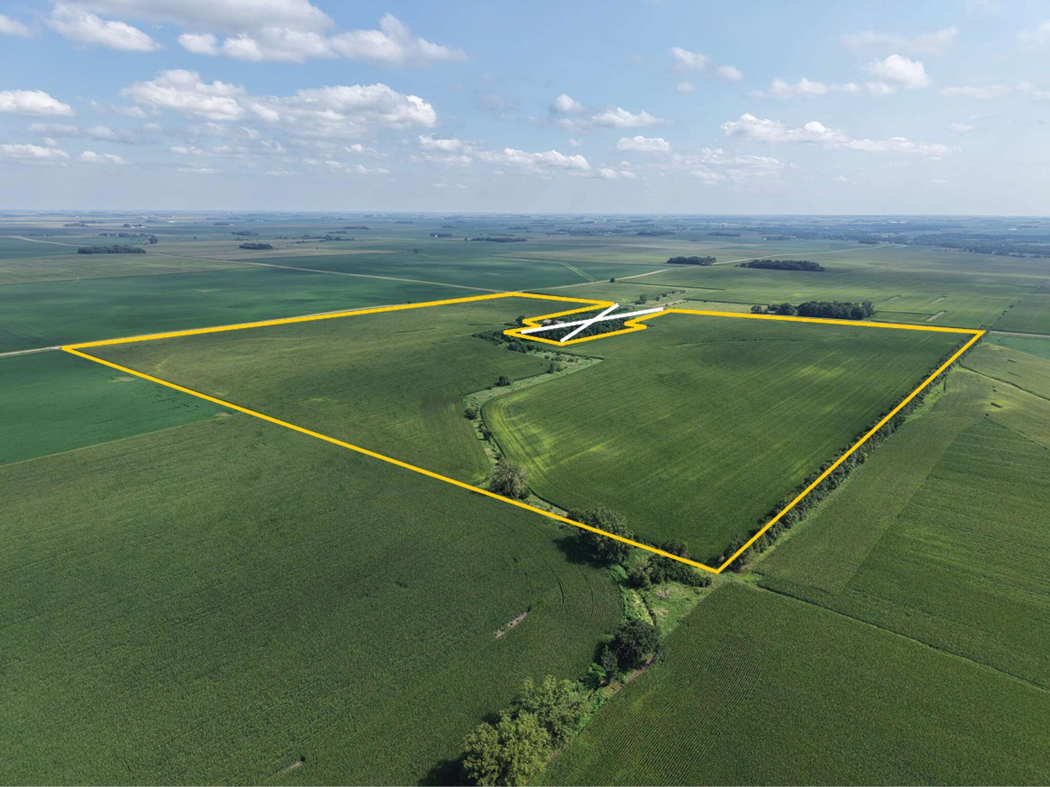 Image for Closed - Jackson Co., MN - 145.72 Ac., m/l (190-0294-01)