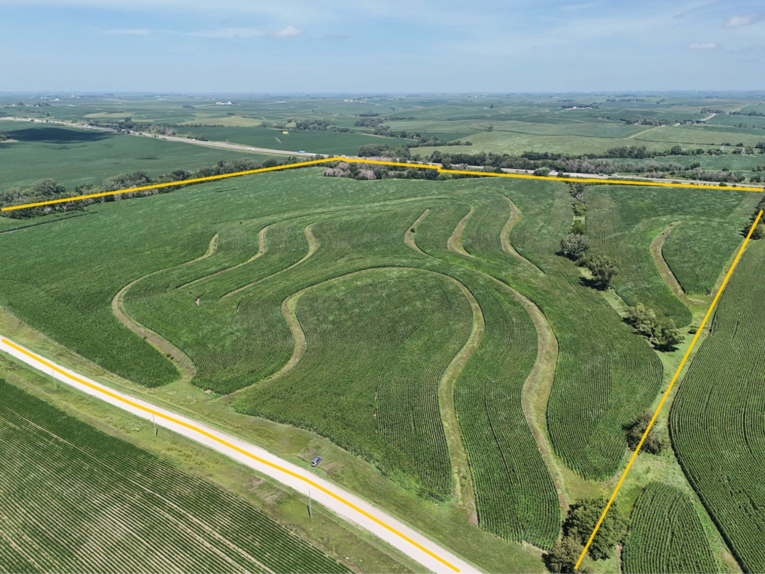 Image for Sale Pending - Cass Co., IA - 323.03 Ac., m/l (090-0242)