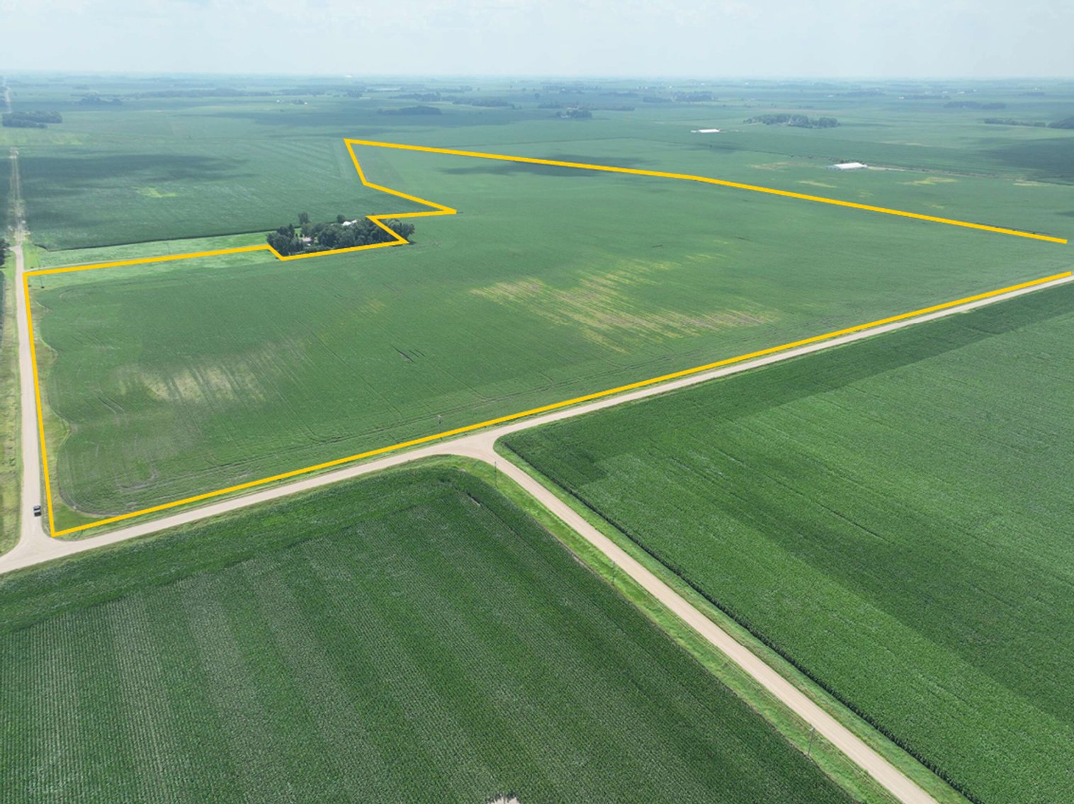 Image for Sale Pending - Blue Earth Co., MN - 149.35 Ac., m/l (190-0288-02)