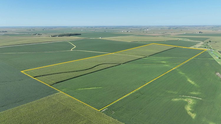 Image for Sale Pending - Benton Co., IA - 60.00 Ac., ml (010-3133-01)