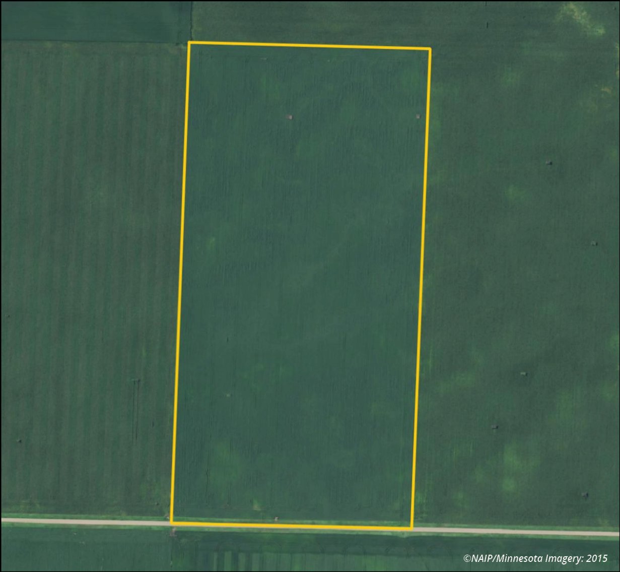 Image for Closed - Redwood Co., MN - 80.15 Ac., m/l (190-0291-01)