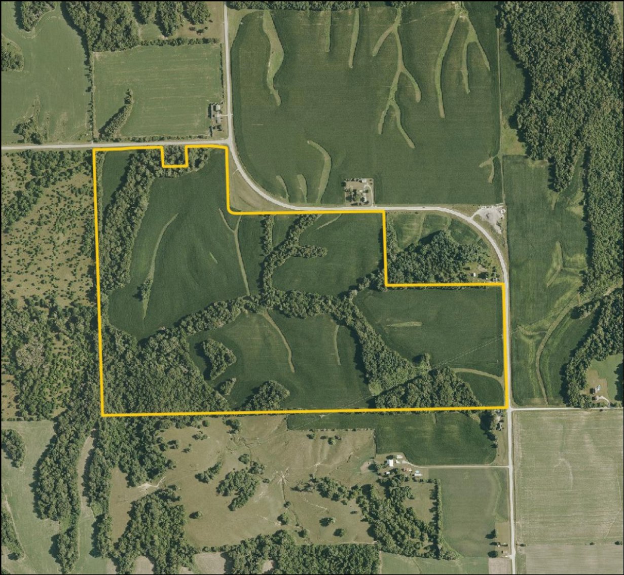 Image for Sale Pending - Rock Island Co., IL - 179.00 Ac., ml (100-0229-01)