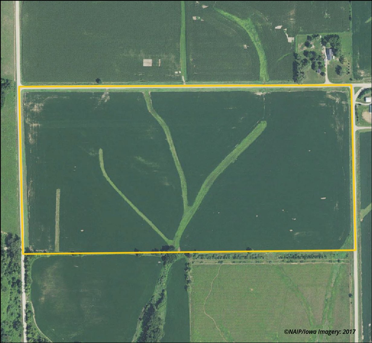 Image for Sale Pending - Cedar Co., IA - 80.00 Ac., m/l (010-3164-01)