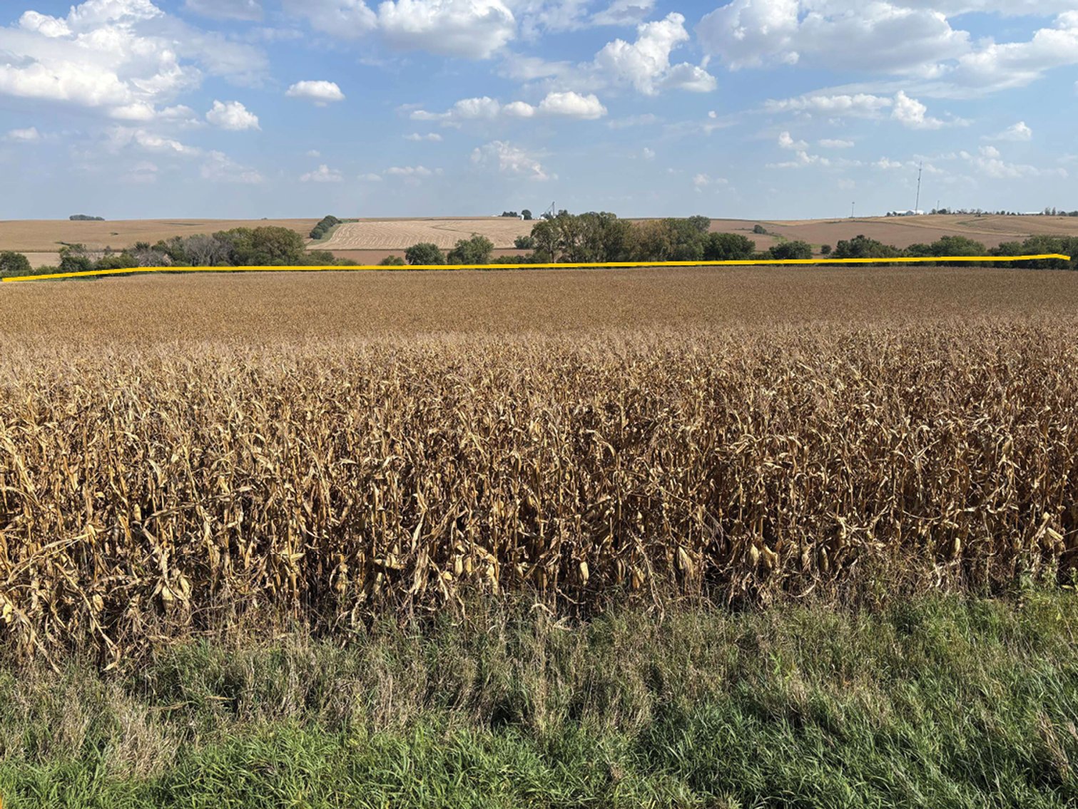 Image for Closed - Cass/Shelby Co., IA - 333.11 Ac., m/l (090-0246)