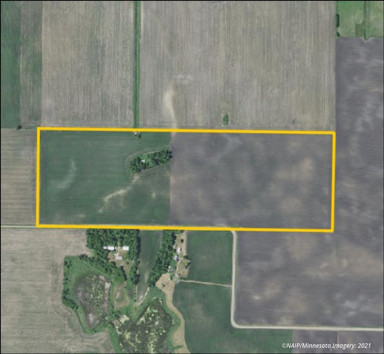 Image for Sale Pending - McLeod Co., MN - 158.99 Ac., m/l (190-0324)