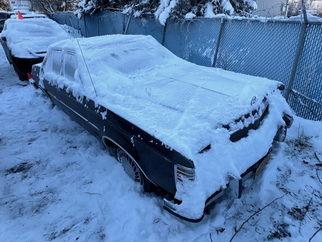 1975 Mercury Monarch