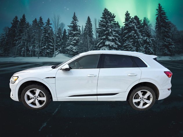 2019 Audi E-Tron Quattro Premium Plus SUV
