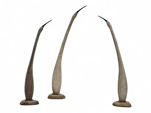 Whale Bone & Baleen Cormorants - Nick Evan