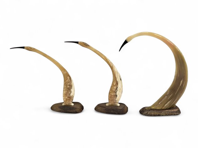 Musk Ox Horn & Baleen Sandhill Cranes - Nick Evan