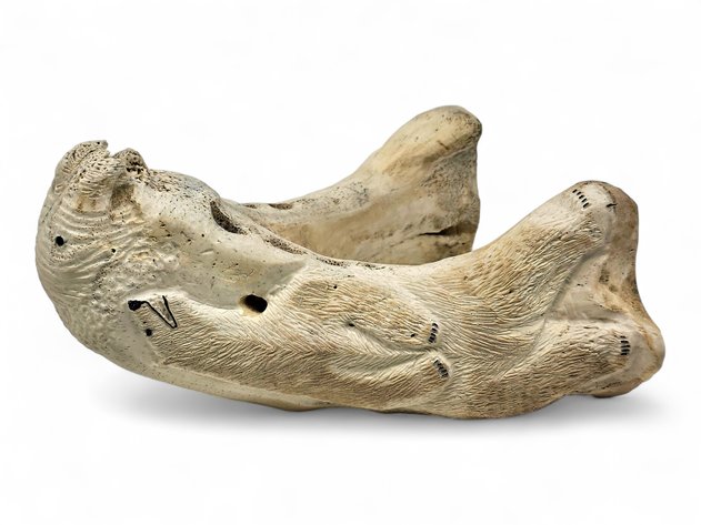 Walrus Jawbone w/ Carved Polar Bear, Eagle & Walrus Relief