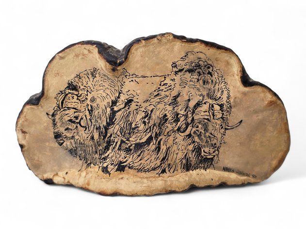 Musk Ox Sketch on Bracket Fungus - Nancy Hohman