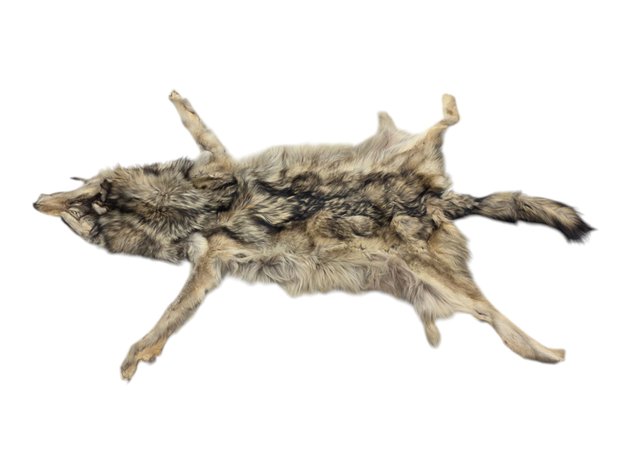 Wolf Fur Pelt