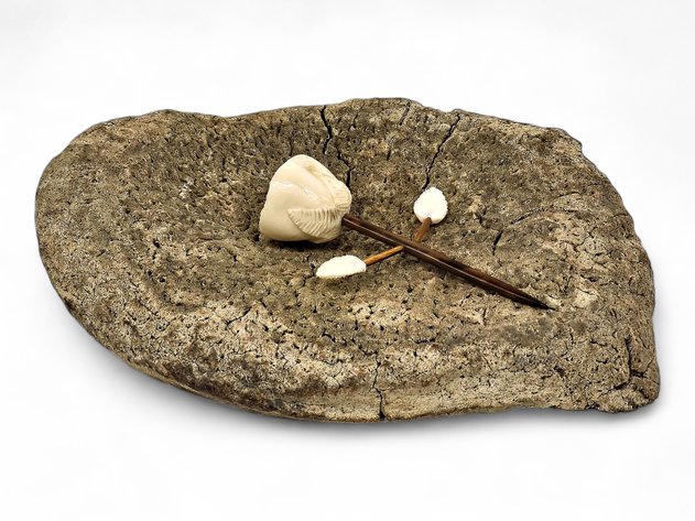 Walrus Ivory Rose w/ Fossilized Whale Vertebrae - Patrick Thomas