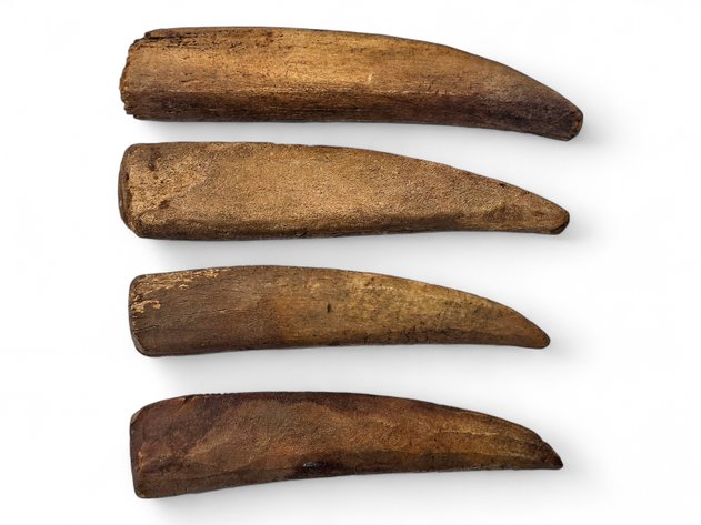 Eskimo Artifacts: Bone Sled Runners