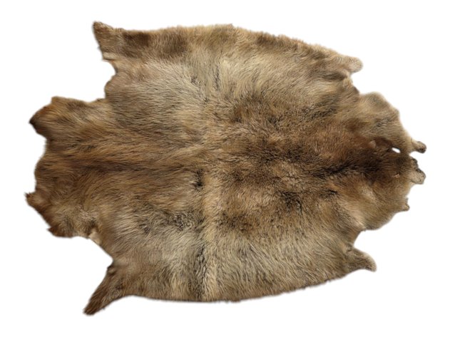 Beaver Fur Pelt
