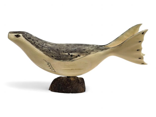Walrus Ivory Scrimshaw Spotted Seal - Perry Olanna
