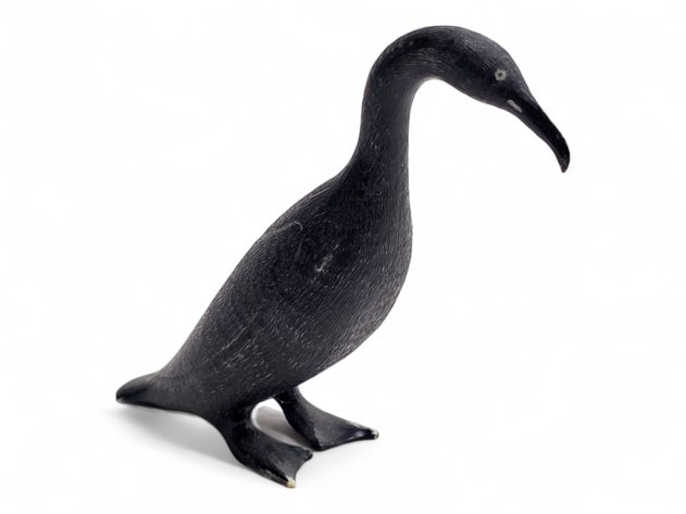 Walrus Ivory Cormorant - Clyde Rookok