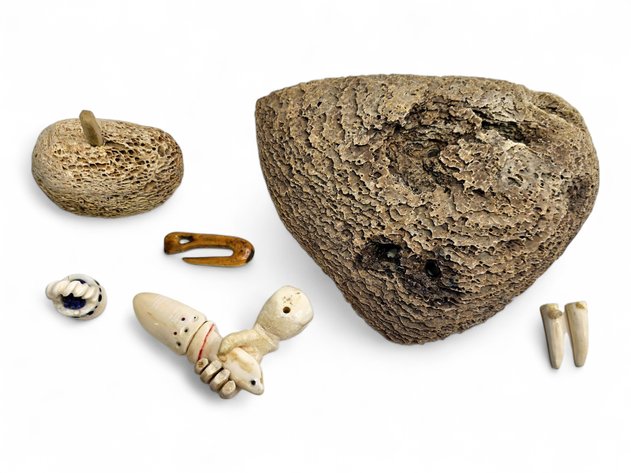 Whale Bone & Ivory Specimens