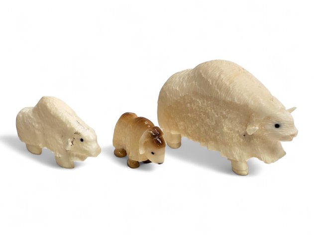 Walrus Ivory Bison Herd - Norbert Thomas & Robert Kokuluk