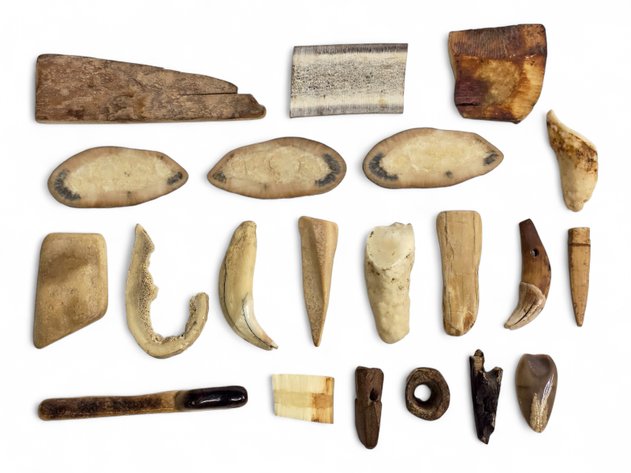 Walrus Ivory & Antler Cross Sections, Canine Tooth Pendant & More
