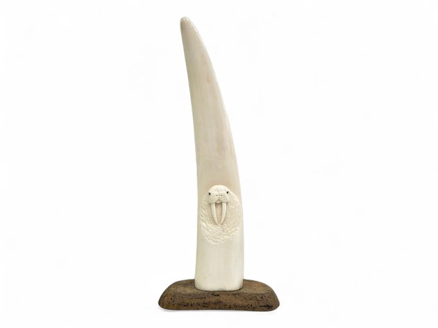 Walrus Tusk w/ Walrus Portrait on Bone Fossilized Bone Base - Nick Evan