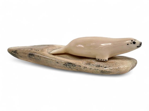 Walrus Ivory Seal on Fossilized Base - Nahveenayuk