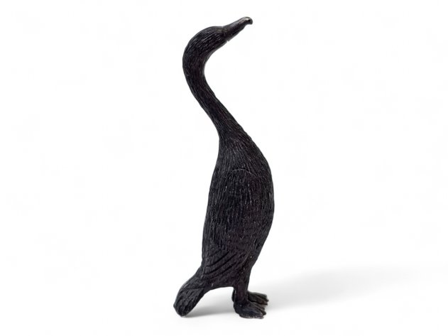 Walrus Ivory Cormorant - Clyde Rookok