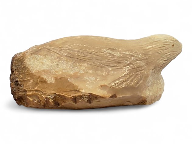 Partially Carved Fossilized Walrus Ivory Specimen
