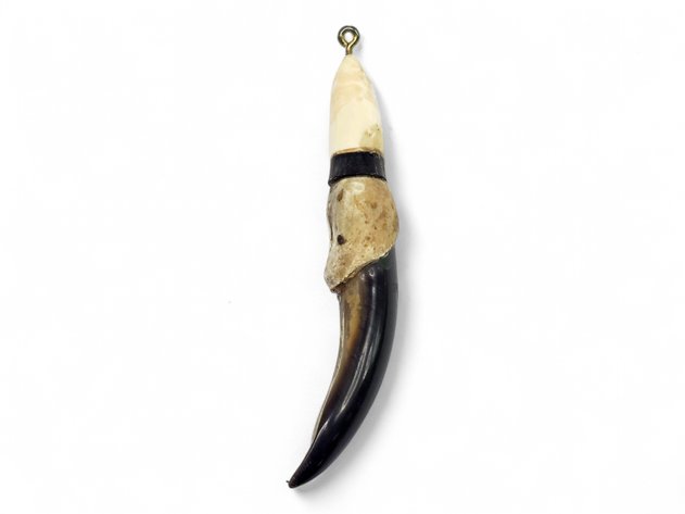 A Capped Seal Claw Pendant