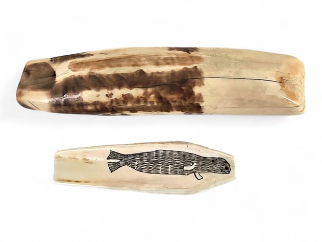 A Large Section of Fossil Walrus Ivory & Scrimshaw Ivory Handle