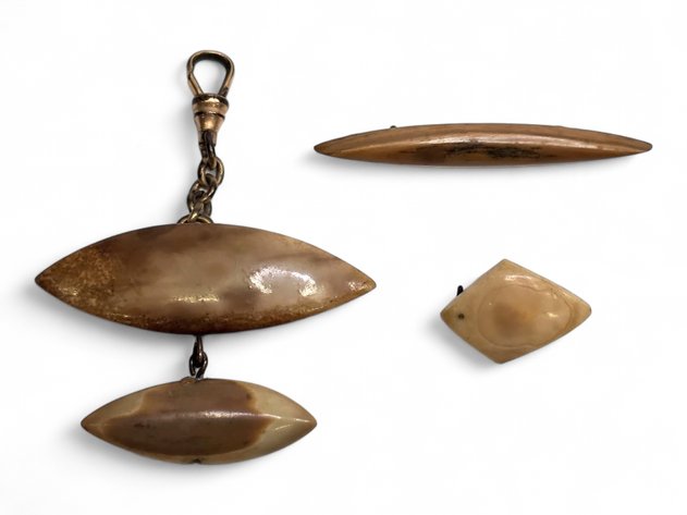 Antique Fossil Ivory Pins & Charm