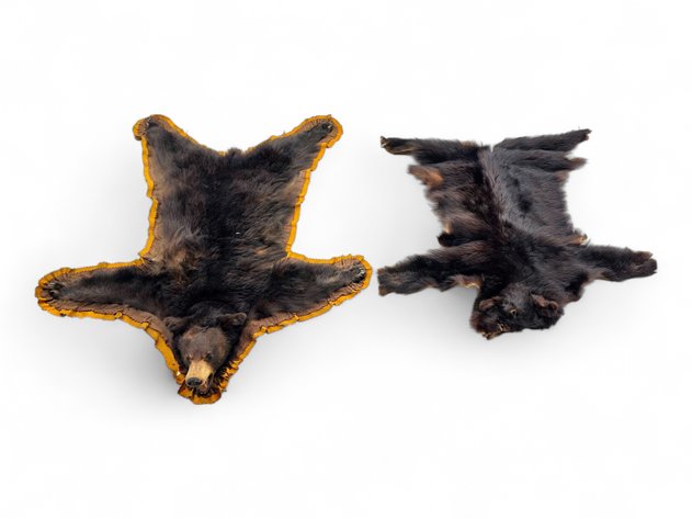 72'' Black Bear Rug & Pelt