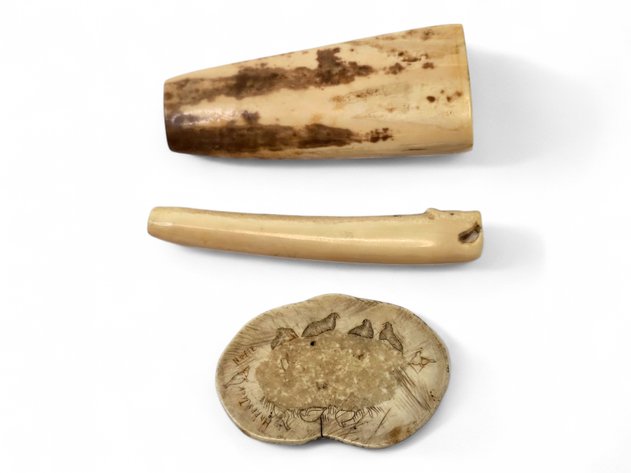 Carved & Scrimshaw Ivory Specimens