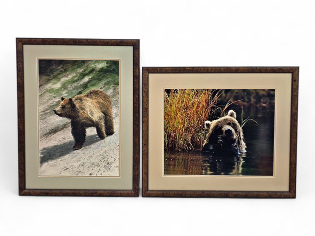 Brown Bear Prints