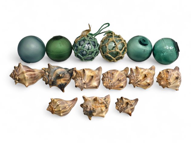 Glass Fishing Floats & Whelk Seashells